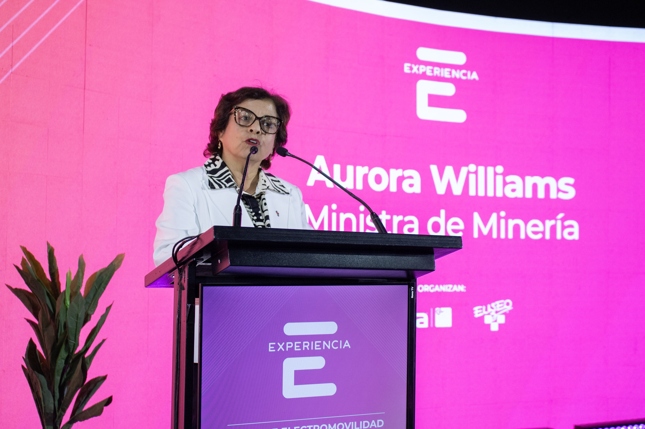 Ministra de Minería: «Estamos llamados a liderar una minería verde, innovadora y responsable»