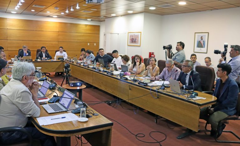 Puerto Antofagasta presenta proyectos estratégicos ante el Consejo Regional