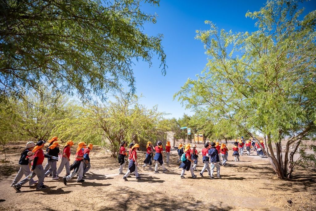 Parque Explora Lomas invita a la comunidad de Calama a conectar con la naturaleza