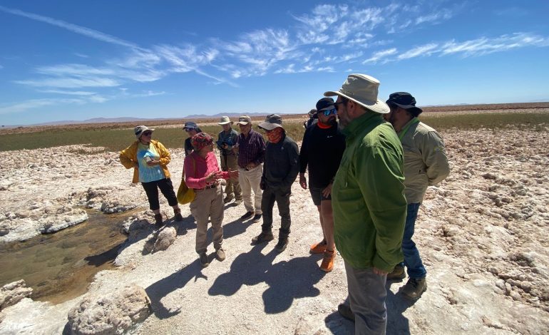 Landata consolida su liderazgo en el Desierto de Atacama