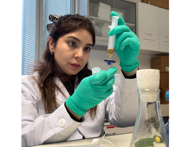 Investigadora antofagastina avanza en Francia en el reciclaje biológico de  baterías de litio