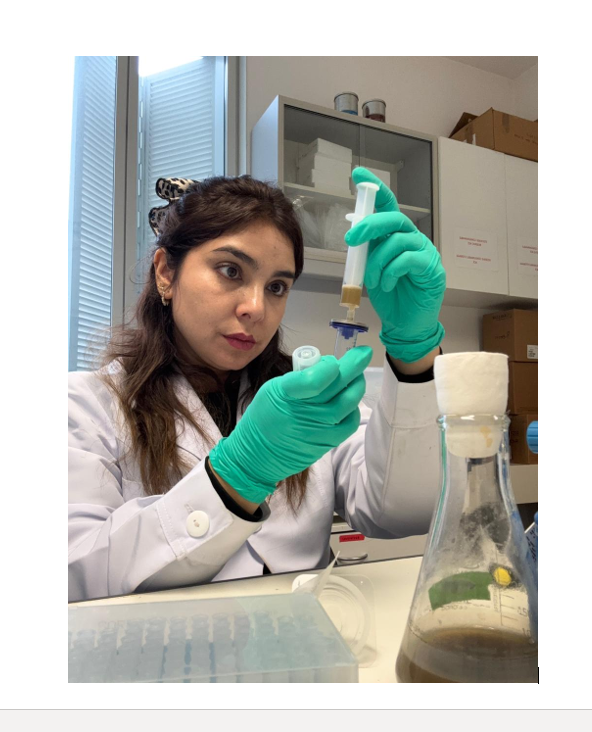 Investigadora antofagastina avanza en Francia en el reciclaje biológico de  baterías de litio