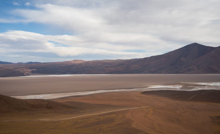 25% del litio reconocido en Chile se encuentra en el proyecto Salares Altoandinos de ENAMI