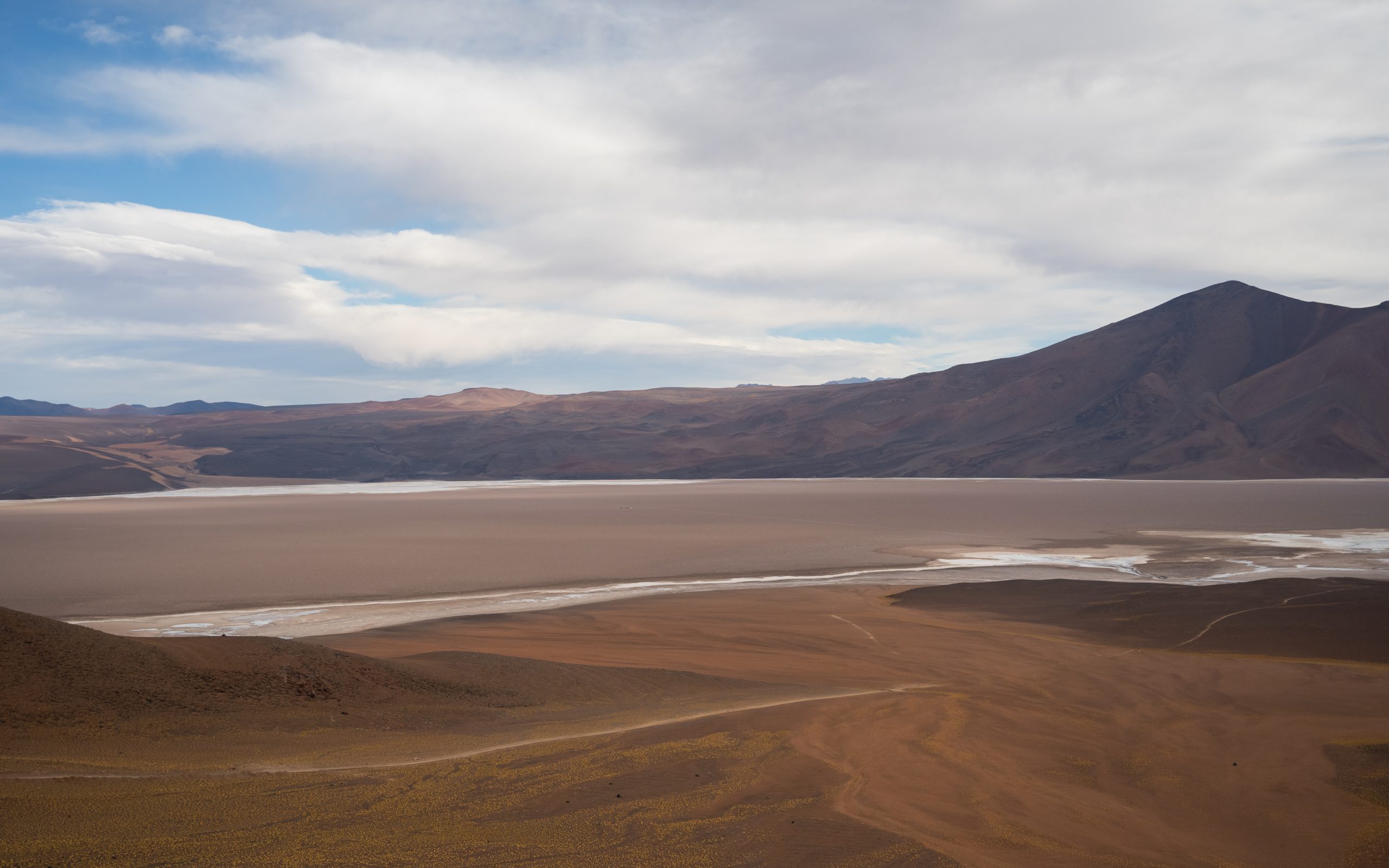 25% del litio reconocido en Chile se encuentra en el proyecto Salares Altoandinos de ENAMI
