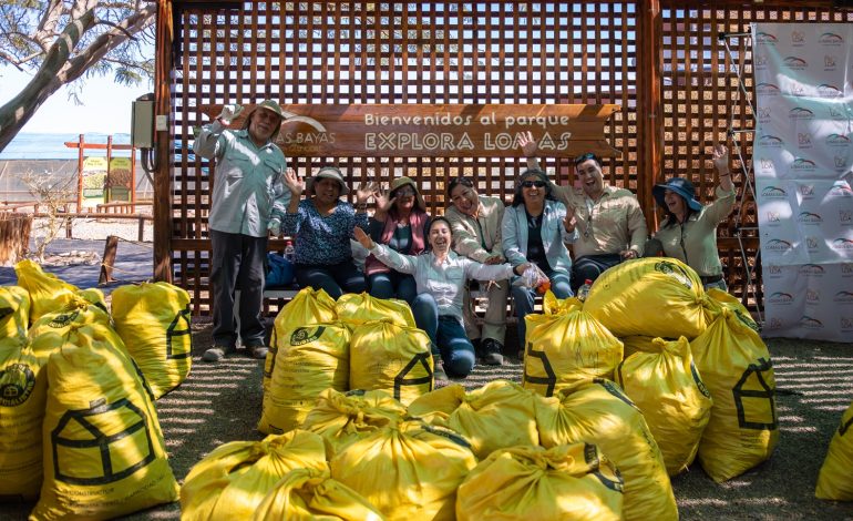 Lomas Bayas y agricultores de Calama celebran nueva cosecha de algarrobo en el Parque Explora