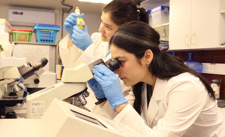 Startup desarrolla biotecnología para reducir polvo en relaves y recuperar suelos mineros