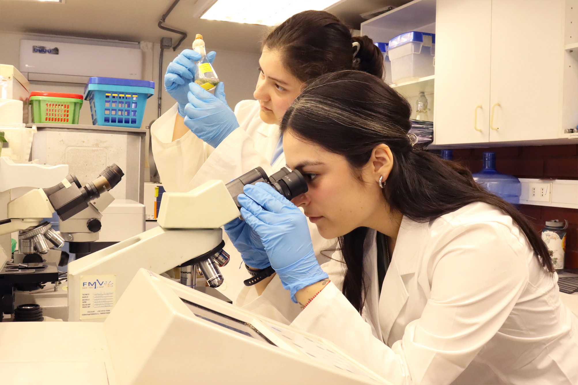 Startup desarrolla biotecnología para reducir polvo en relaves y recuperar suelos mineros