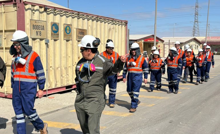 Directorio de ASIQUIM se reúne en Mejillones para abordar temáticas de impacto en el Norte del país